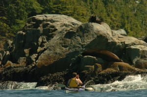 Eagle Nook   